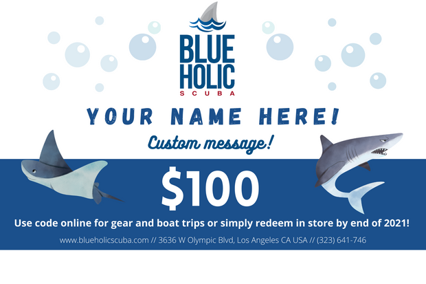 $100 GIFT CERTIFICATE