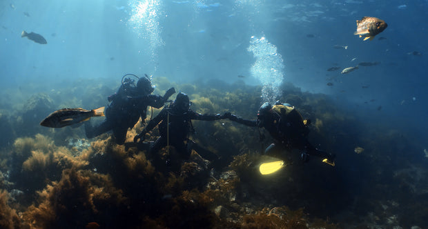 PADI Open Water Course