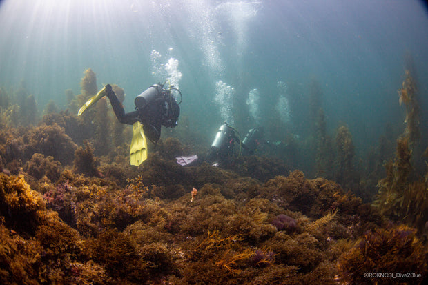 PADI Open Water Course