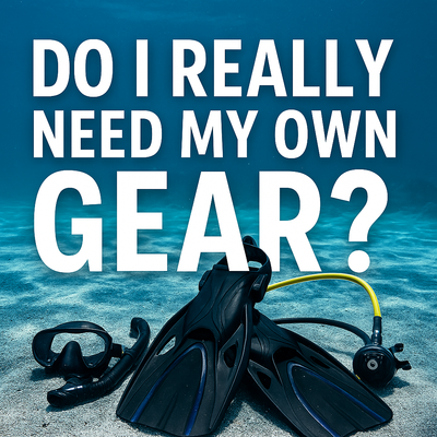 Getting Comfortable in the Water Starts With the Right Gear