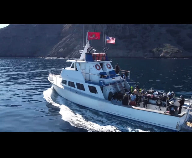 Catalina Island Boat Trip [July 28th 2024]