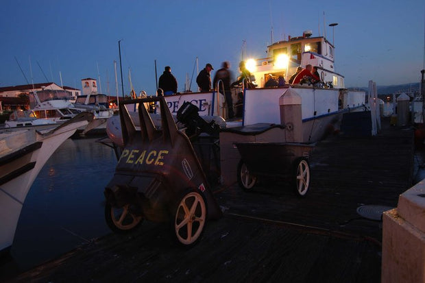 Channel Islands Boat Trip [May 26 2024]