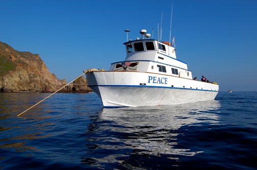 Channel Islands Boat Trip [Sept 15 2024]