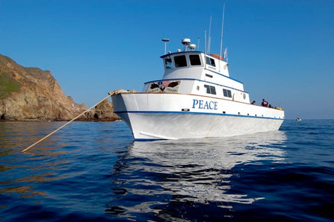Channel Islands Boat Trip [March 31 2024]