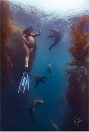 Photography Session - Ocean Freediving