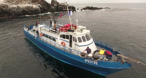 Channel Islands Diving – Spectre Dive Boat Trip [Sept 21 2025]