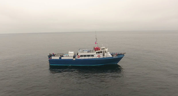 Channel Islands Diving – Spectre Dive Boat Trip [Sept 21 2025]