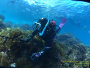 NAUI Scuba Diver Course