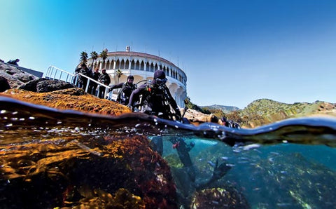 Catalina Island Dive Trip [October 13 2019]