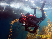 Boat Diver Specialty Course