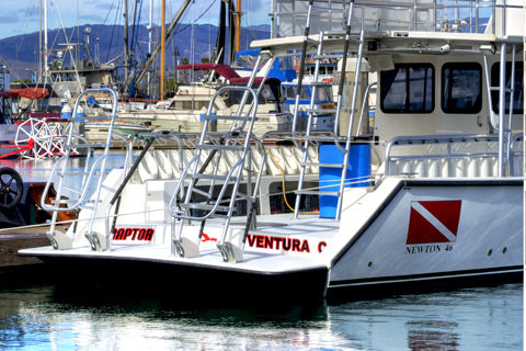 Anacapa/Santa Cruz Island Boat Diving Trip [Feb 27 2022]