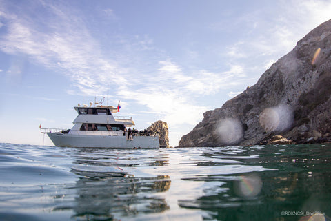 Catalina Island Boat Trip [November 7 2021]