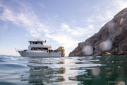 Catalina Island Diving Trip [June 5 2022]