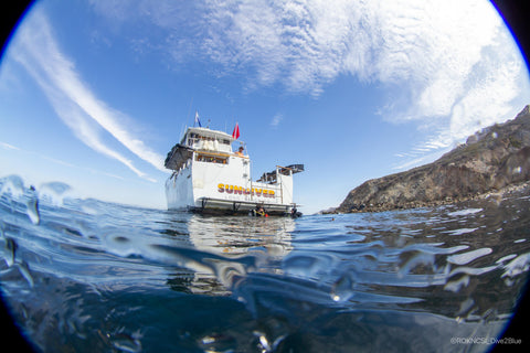Catalina Island Boat Trip [October 17 2021]