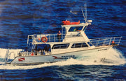 Anacapa/Santa Cruz Island Boat Diving Trip [May 8 2022]