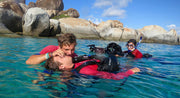 NAUI Rescue Scuba Diver / Advanced Rescue Diver
