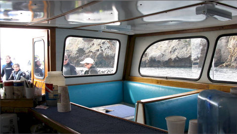 Catalina Island Boat Trip [September 19 2021]
