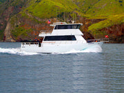 Catalina Island Boat Trip [March 7 2021]